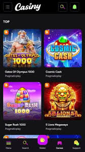 Everything You Need to Know About Casiny Login 8 Everything You Need to Know About Casiny Login 8