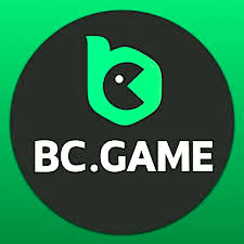 Todo lo que Necesitas Saber sobre BC CO