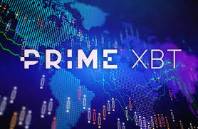 Understanding PrimeXBT Forex Account Types for Every Trader Understanding PrimeXBT Forex Account Types for Every Trader