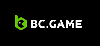 Understanding the General Terms & Conditions of BC.Game 2027626470